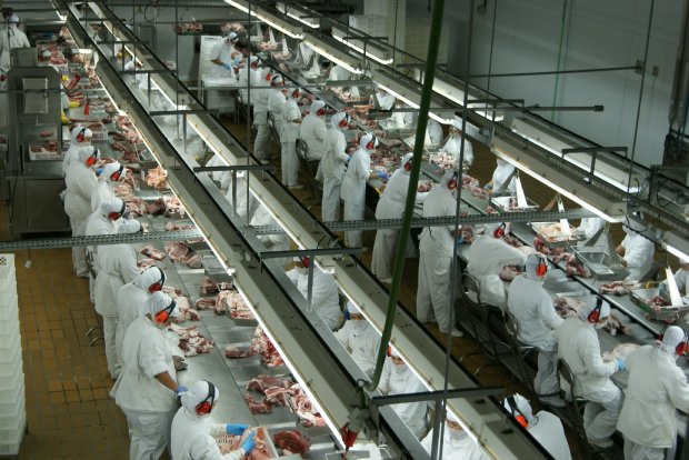 SC retoma crescimento nas exportações de carne de frango