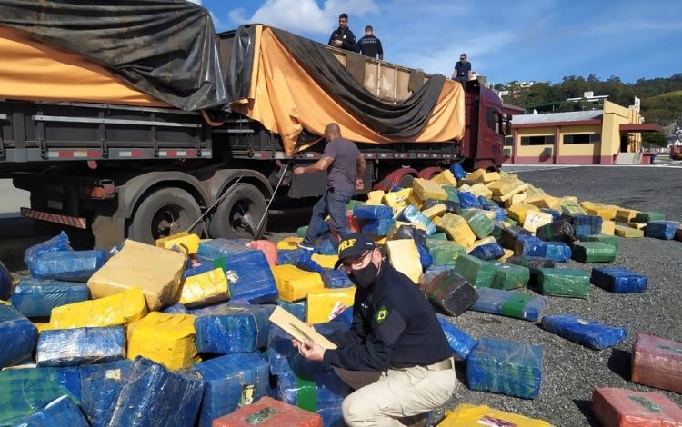 Ação conjunta da polícia faz mega apreensão de 24,27 toneladas de maconha em Rancho Queimado