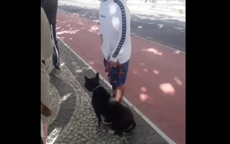 Mulher é mordida por cachorro em Balneário Camboriú