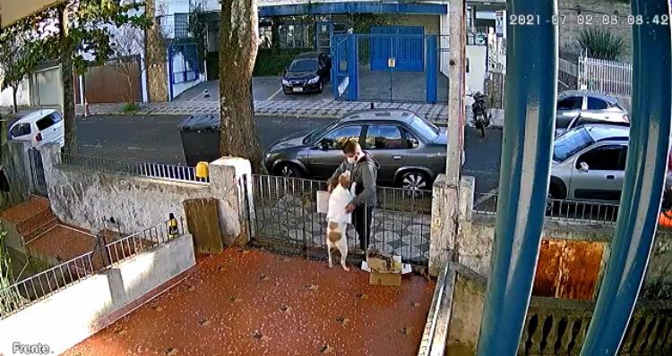 Câmera de segurança flagra homem furtando roupa de uma cachorra em SP