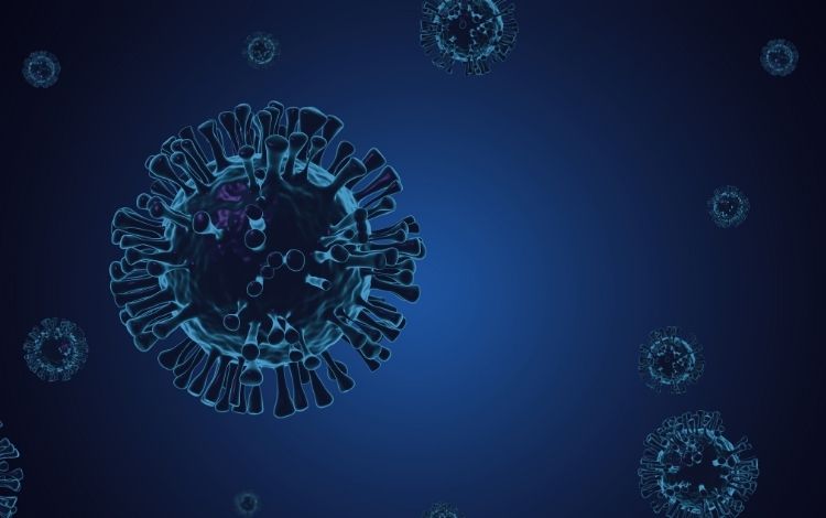 Nova variante do coronavírus com grande número de mutações é descoberta