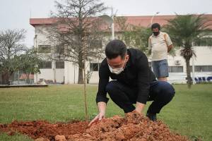 Timbó realiza plantio de árvores no Parque Central