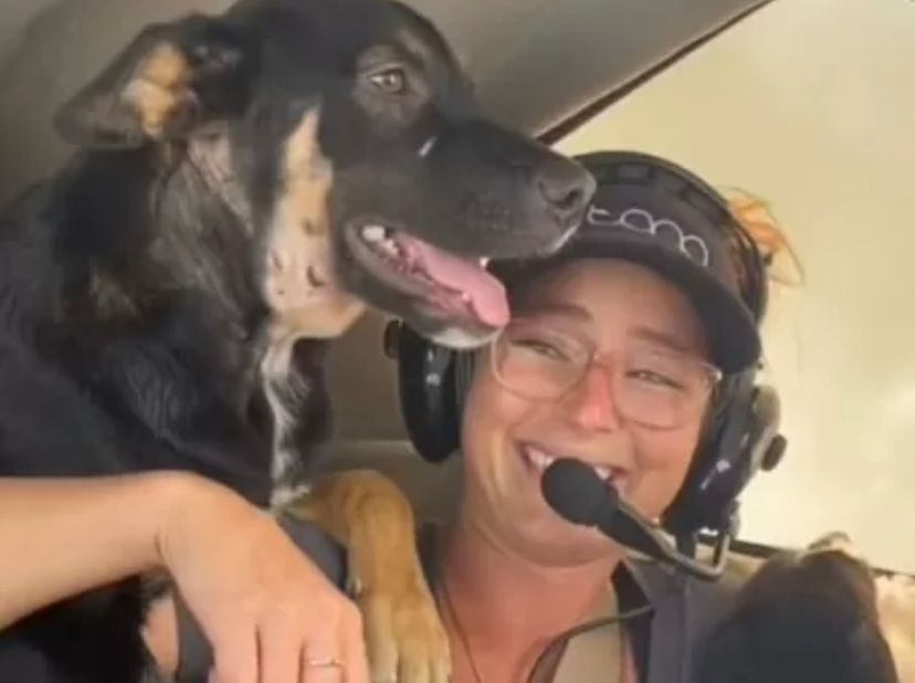 Mulher salva 27 cães que seriam sacrificados