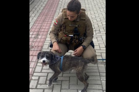 Cão é resgatado em Itajaí após mais de 7 horas trancado em carro