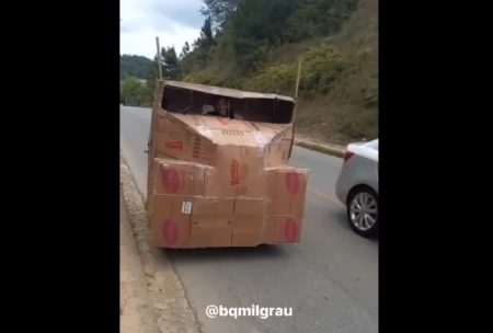 Vídeo de morador transitando com carreta de papelão viraliza em SC