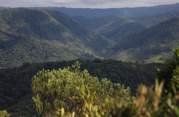 IMA incentiva a criação de Reservas Particulares do Patrimônio Natural em Santa Catarina