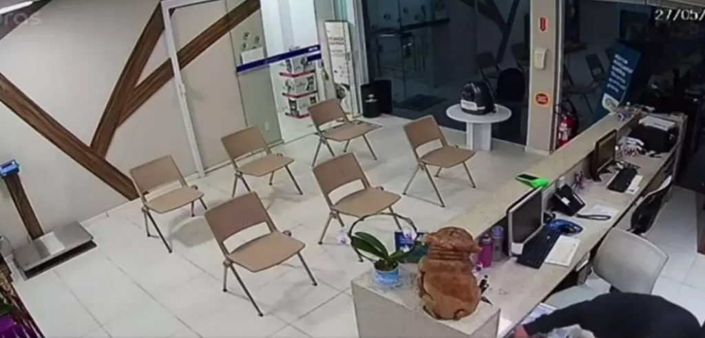 Ladrão é flagrado furtando clínica em Blumenau