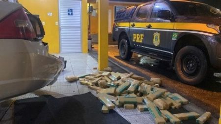Homem é preso com 83 kg de maconha na BR-101 em Barra Velha