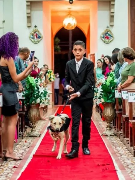 Padre encerra cerimônia de casamento após ver cães com alianças no Ceará