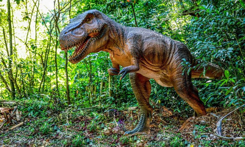 Parque dos Dinossauros será a nova atração turística de Balneário Camboriú
