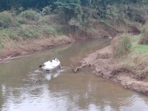 Corpo de mulher é encontrado dentro de rio em Blumenau