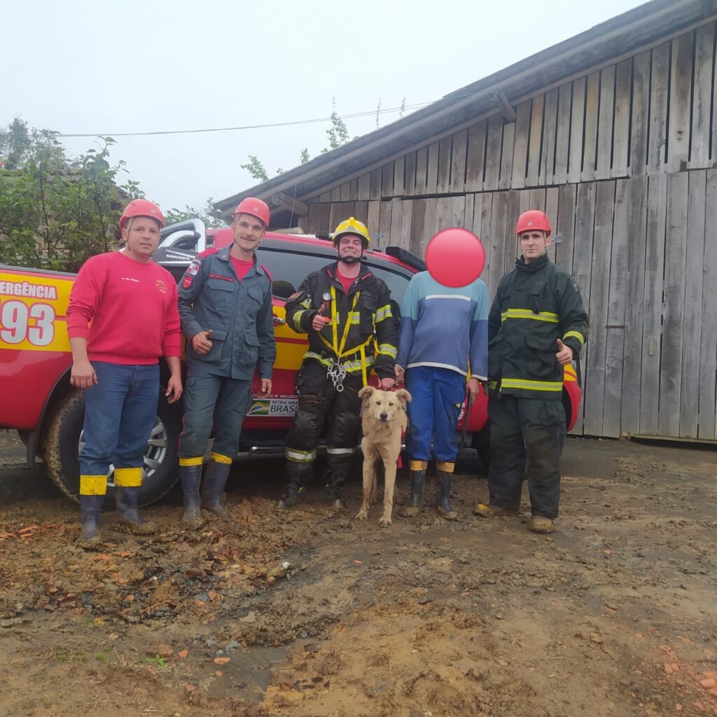 Corpo de Bombeiros resgata cachorro que caiu em ribanceira de 20 metros em Chapadão do Lageado