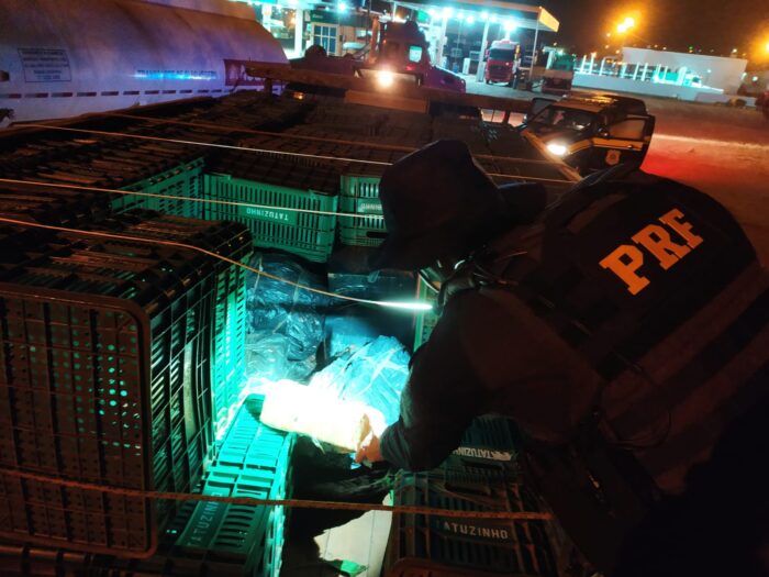 PRF realiza maior apreensão de maconha do ano em SC