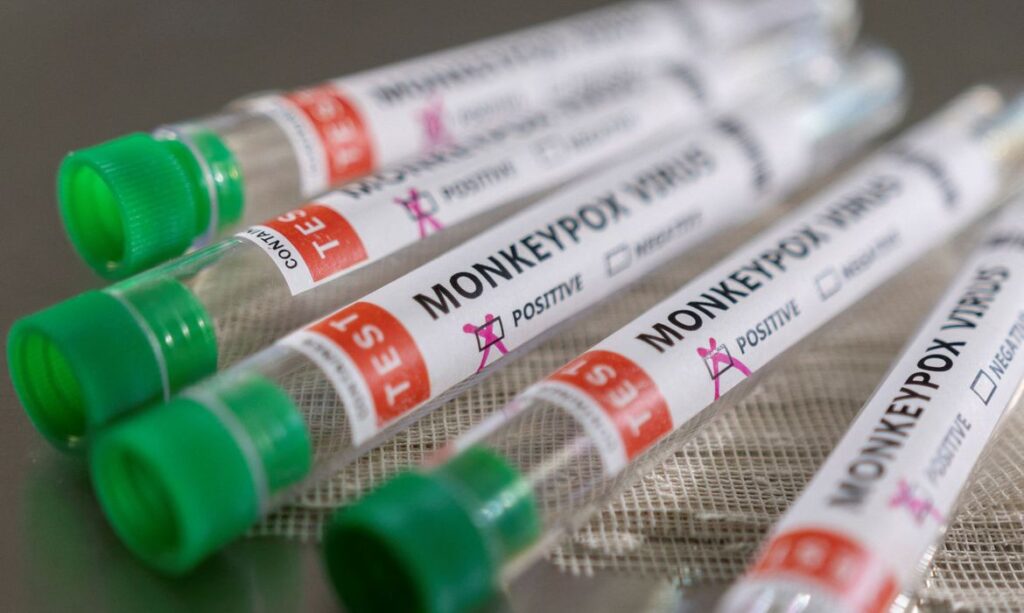 Brasil terá antiviral para tratar a varíola dos macacos