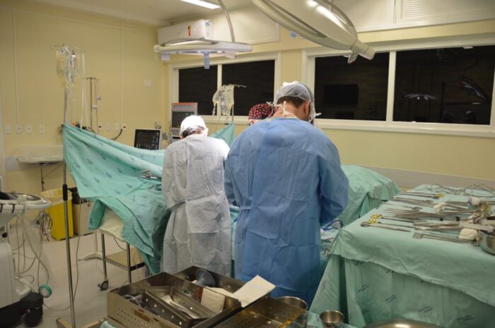 Hospital Santa Isabel de Blumenau ultrapassa quatro mil transplantes de órgãos