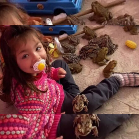 Catarinense de dois anos brinca na cama com sapos e vídeo viraliza