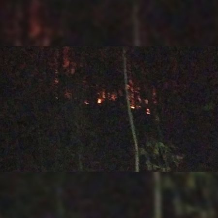 Incêndio em vegetação causa destruição em cerca de 5 hectares em Lontras