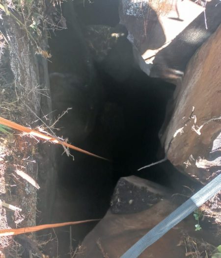 Bombeiros resgatam cachorro que caiu em buraco de aproximadamente 33 metros em Taió