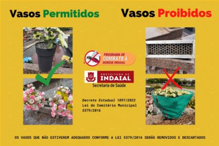 Para combater casos de Dengue Prefeitura irá remover vasos de Cemitérios de Indaial