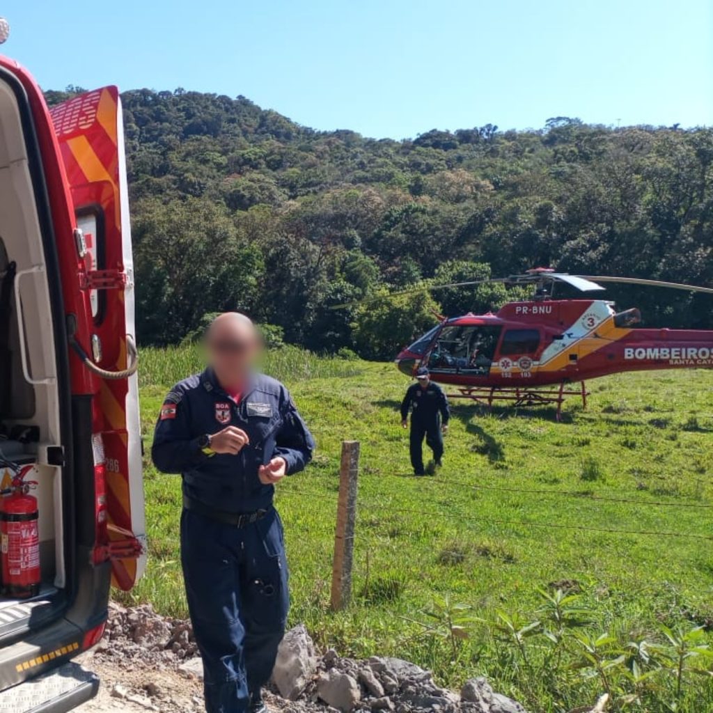 Ataque de abelhas deixa quatro vítimas em Rio dos Cedros