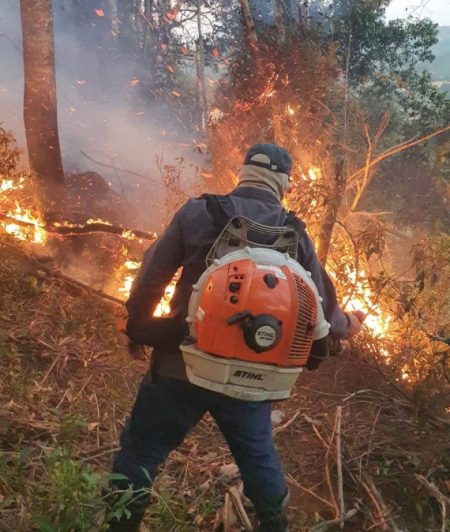 Bombeiros combatem incêndios florestais em diversas cidades do Alto Vale