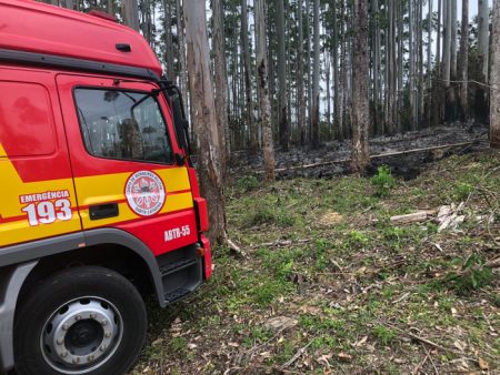 Incêndio florestal em Doutor Pedrinho mobiliza bombeiros