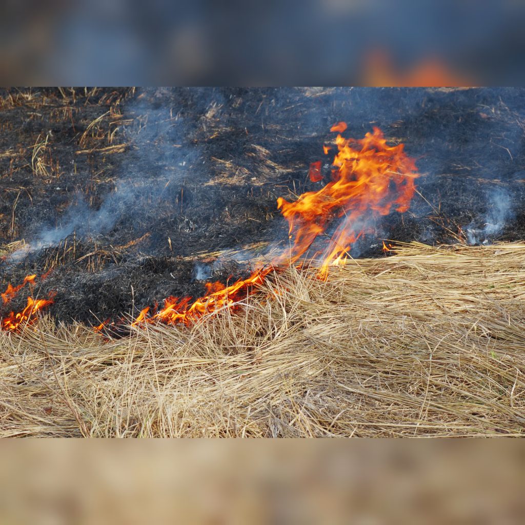 Incêndio em residência é controlado por Bombeiros em Rodeio