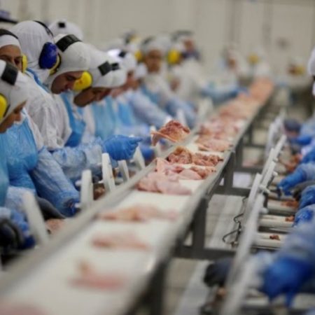 México abre mercado para carne suína produzida em SC