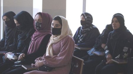 Talibã proíbe as mulheres do Afeganistão de cursarem o ensino superior