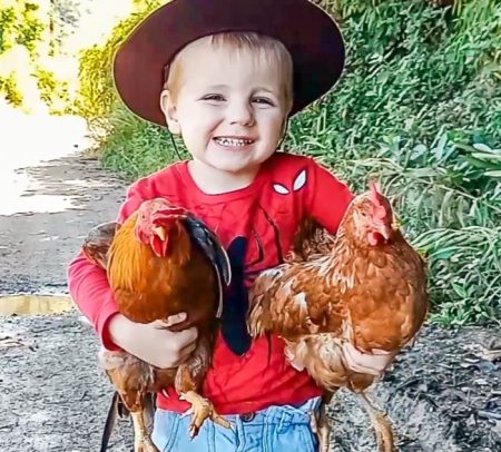Criança de três anos viraliza na internet após adotar galo e galinha de estimação