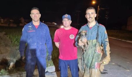 Resgate de cachorro que caiu em tubulação dura cinco horas em Itajaí