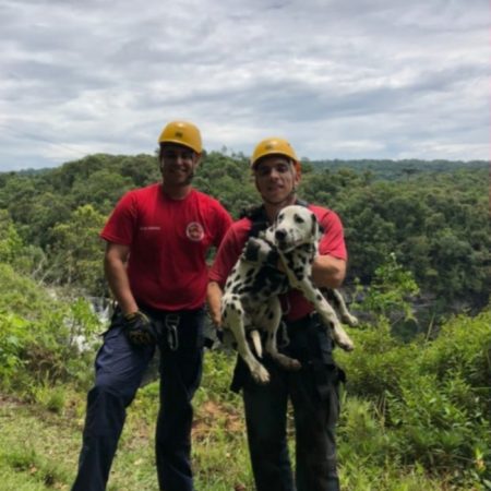 Bombeiros resgatam cachorro em ribanceira de Benedito Novo