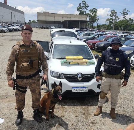 Mais de R$ 2,8 milhões em cocaína são apreendidos na BR-101 em Palhoça