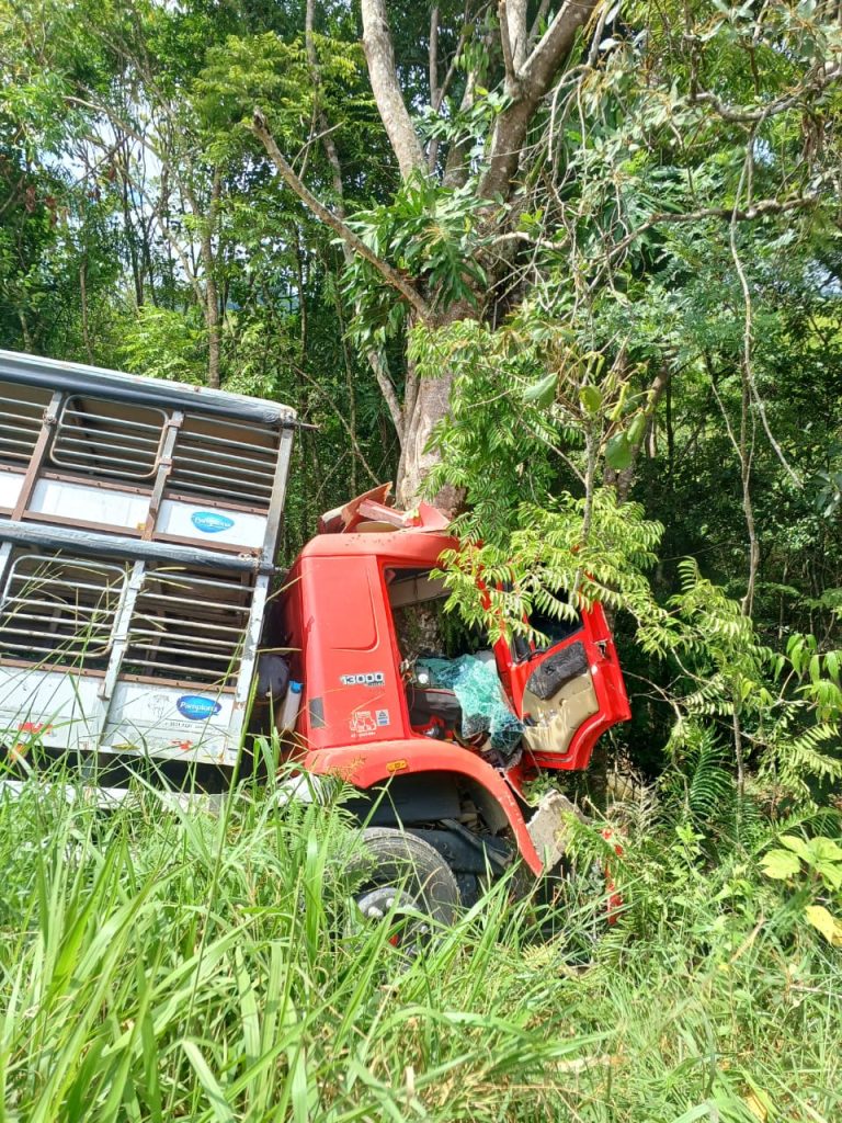 Homem fica preso às ferragens após colidir caminhão contra árvore em Taió