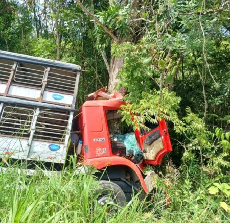 Homem fica preso às ferragens após colidir caminhão contra árvore em Taió