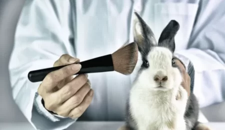 Governo proíbe uso de animais em pesquisas de cosméticos e perfumes