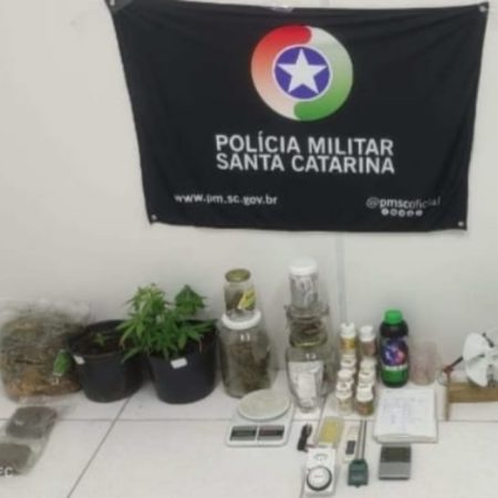 Estufas para cultivo de droga é encontrada dentro de imóvel em Gaspar