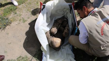Peruano fazia entregas carregando múmia que alega ser namorada