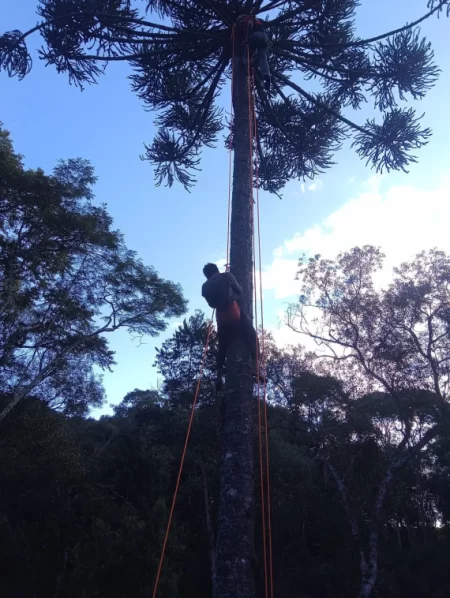 Resgate de homem que ficou preso em árvore dura quatro horas no Norte de SC