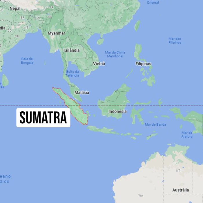 Terremoto de 7,3 atinge a Indonésia e dispara alertas de tsunami