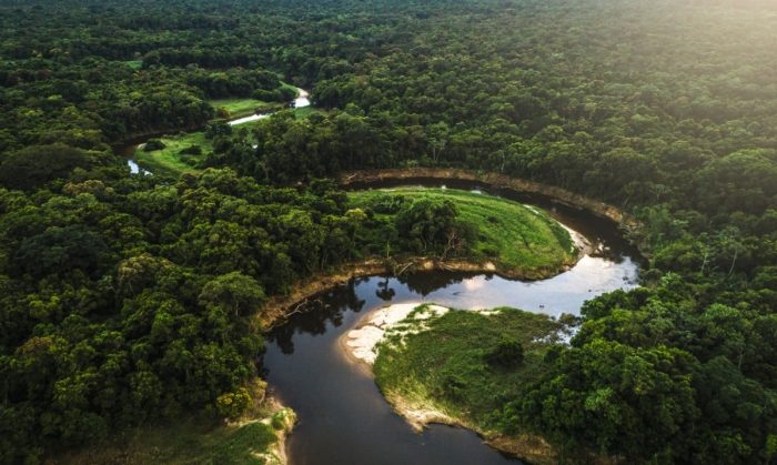 Joe Biden anuncia intenção de doar US$ 500 milhões para o Fundo Amazônia