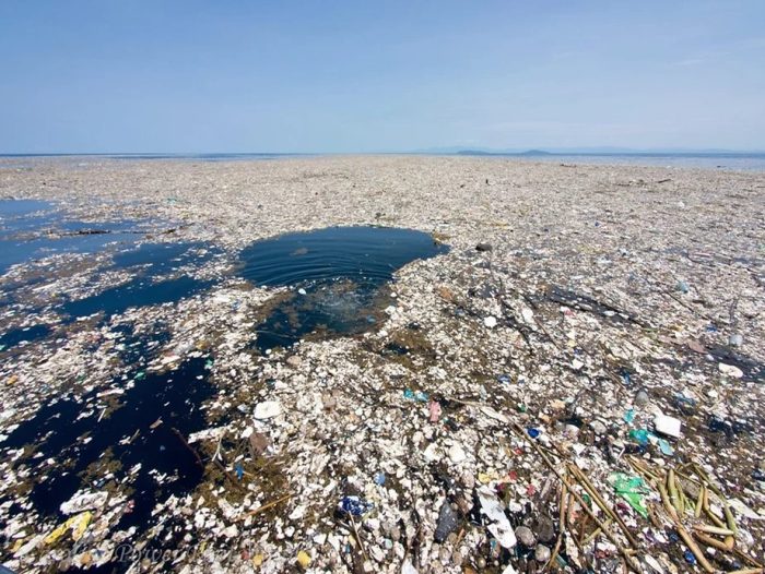 Poluição: lixo acumulado no Pacífico se torna um novo ecossistema