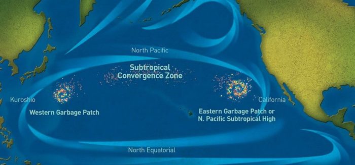 Poluição: lixo acumulado no Pacífico se torna um novo ecossistema