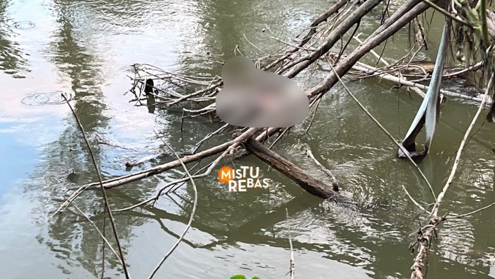 Corpo de um homem é encontrado por jovens boiando no rio em Timbó