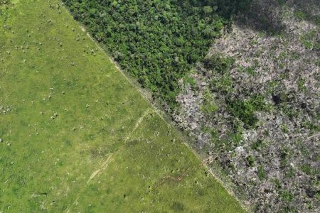 Desmatamento na Amazônia triplica em março, segundo Imazon