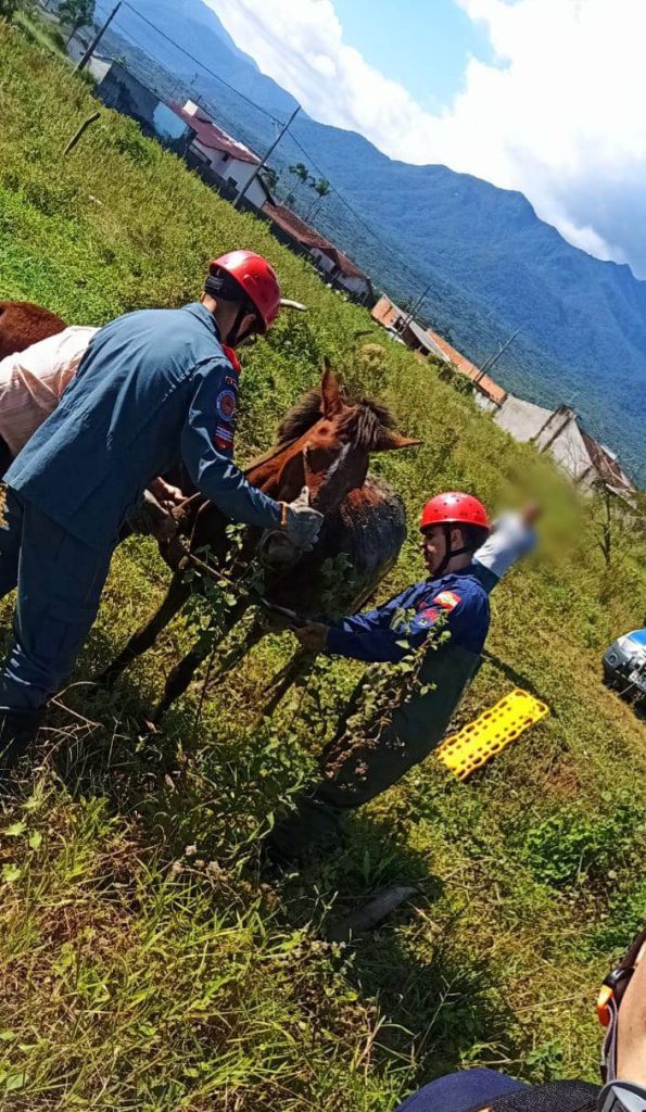 Bombeiros utilizam cabos de aço e picape para resgatar cavalo no Norte do Estado