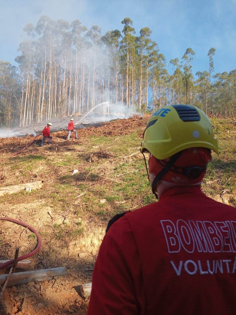Bombeiros Voluntários controlam incêndio em área de mata em Indaial
