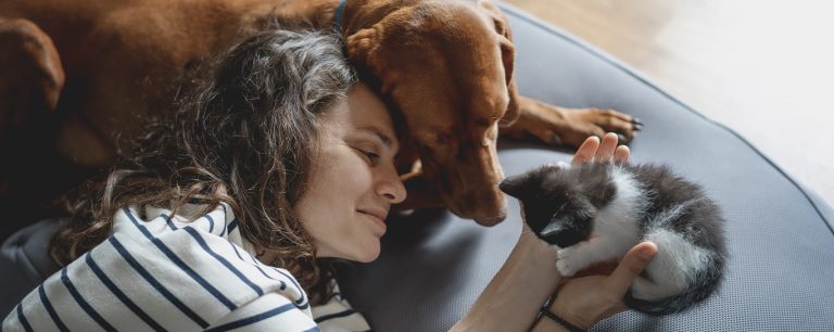 Plano de Saúde Pet: conheça a novidade para cuidar da saúde do seu bichinho