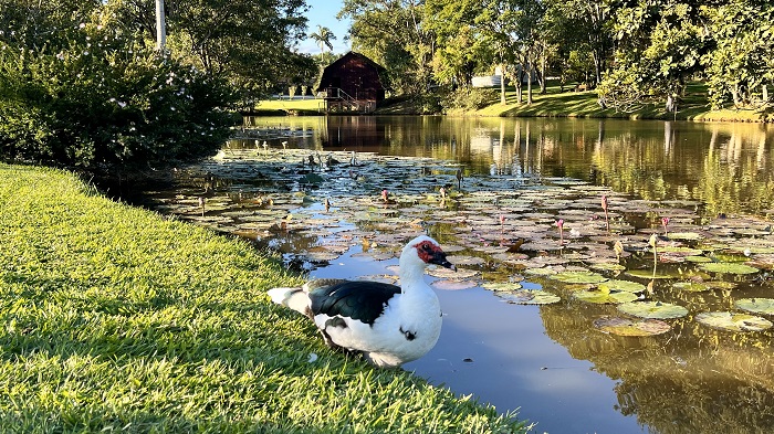 Jardim Botânico Um Dos Pontos Turísticos Mais Procurados Em Timbó Misturebas News 7719