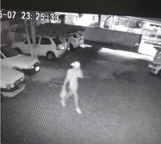 Câmera flagra criminoso furtando objetos em estacionamento de Timbó